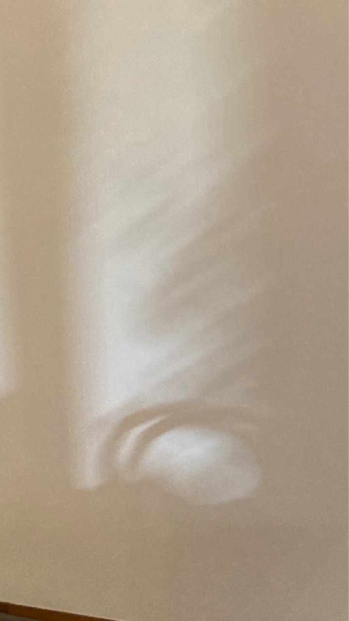 樹洞