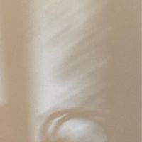 樹洞
