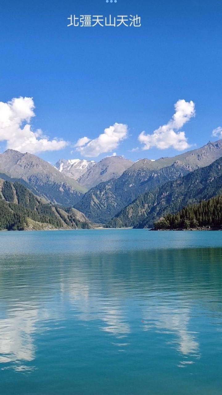 💓愛旅遊 ⋯親朋好友一起去旅行