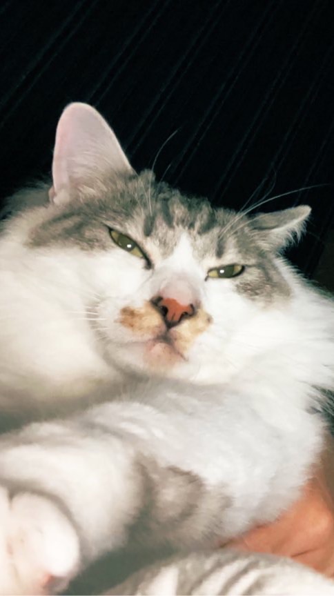 部屋の掃除一緒にがんばろ