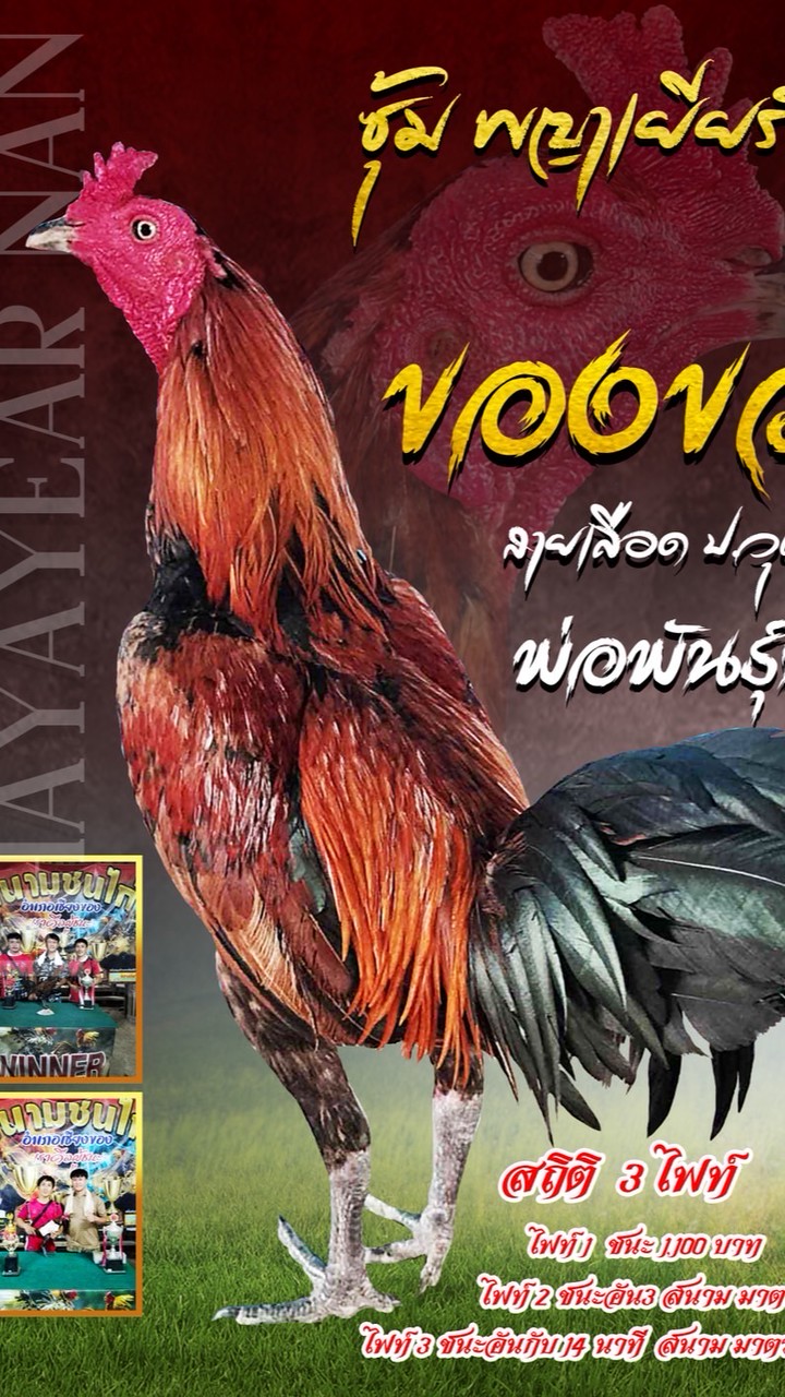 ซุ้มพญาเยียร์ น่าน