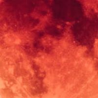 NEW MOON