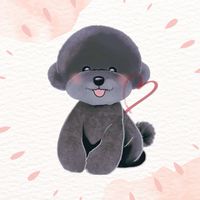 SinSin日貨代購❤️日本連線