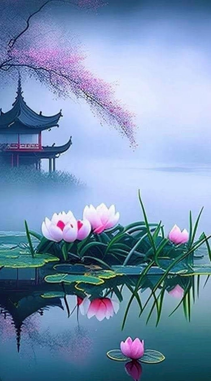 曾老師的房地合一税