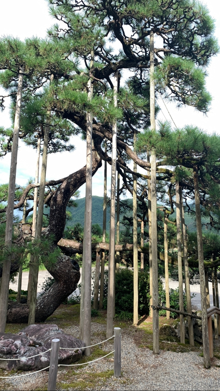 北陸アートビオトープ