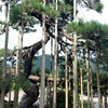 北陸アートビオトープ