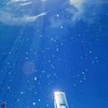 青月戦闘学園