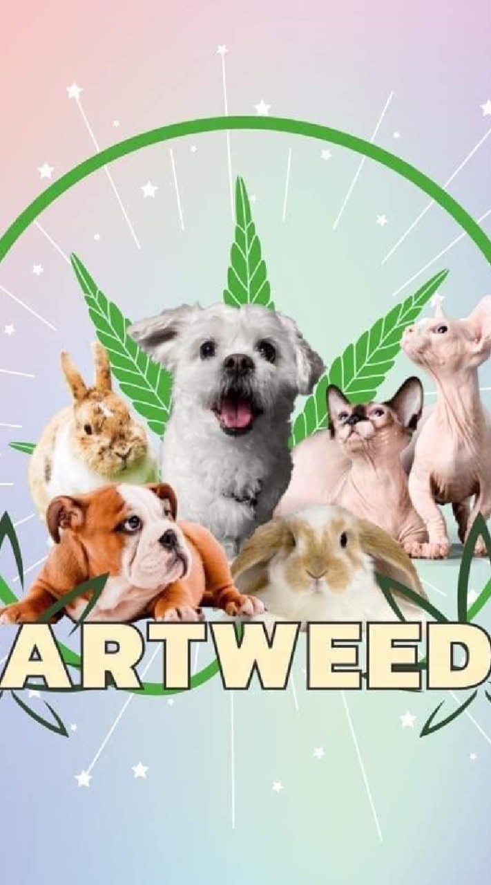 OpenChat ARTWEED