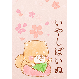 ❤いやしばいぬ❤桜