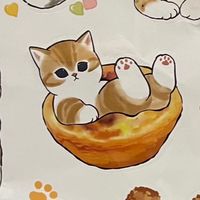 40+ 台北/新北 聊天/美食/出遊/運動