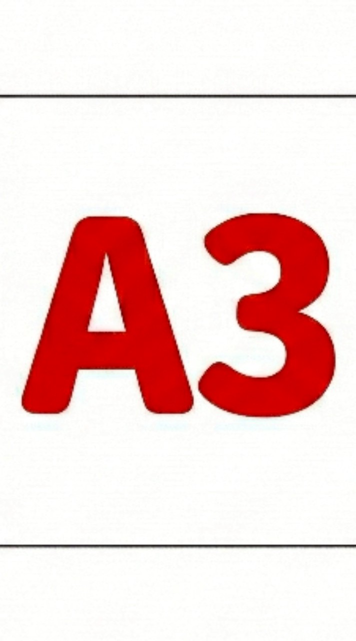 55688 北區A3小隊