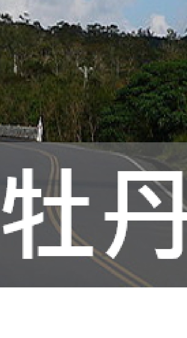 我是牡丹人