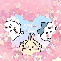 ✧瓦屋吉小舖｜公告大群✧吉伊卡哇ᴊᴘ代購
