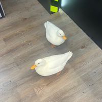 吃喝玩樂俱樂部