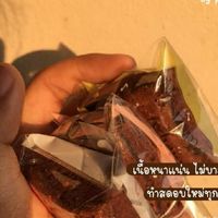 ตัวแทนบราวนี่จิ๋ว | ทีมปุ๋มปิ๋ม