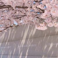 橘兒韓國代購🍊