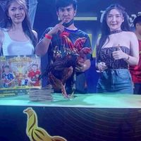 ช.ชยางกูร โพธิ์ชัย [จ.ร้อยเอ็ด]
