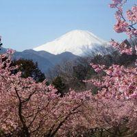 新潟❤で遊ぼう(ฅ¯ω¯ฅ )！～30代から60代～の大人雑談部屋♪。.:＊・゜♪。.:＊・