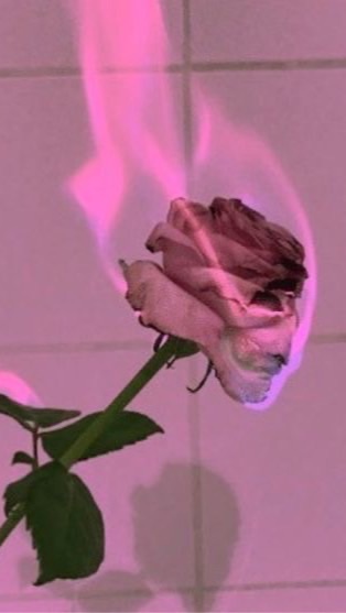 DRUNK IN LOVE(s) OpenChat