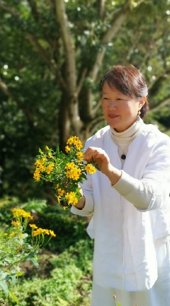 光識音流花園會客室