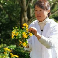 光識音流花園會客室