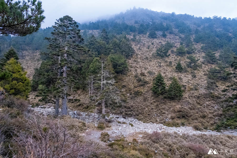 山女孩MelissaxMao冒險生活_戒茂司上嘉明湖三天兩夜_登山紀錄分享-108.jpg