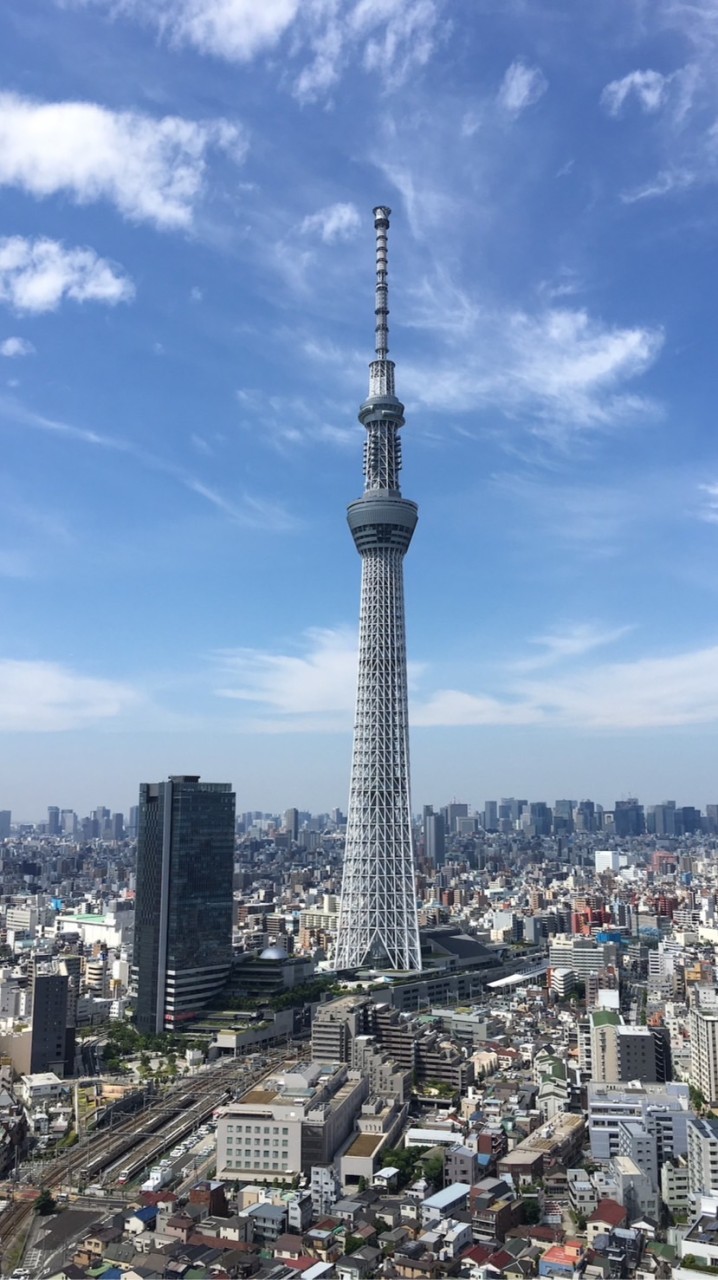マグロの正体とは‼️