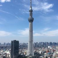 マグロの正体とは‼️