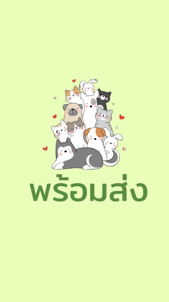 อุปกรณ์นำเข้าไม่ต้องรอพรี สัตว์เลี้ยงน่ารัก