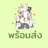 อุปกรณ์นำเข้าไม่ต้องรอพรี สัตว์เลี้ยงน่ารัก