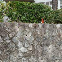若者憲法集会京大実行委員会