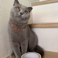 ขนม-สินค้านำเข้า ขายปลีก-ส่ง พรีออเดอร์ by แพรวาพาณิชย์
