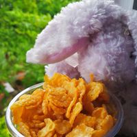 ขายขนมออนไลน์