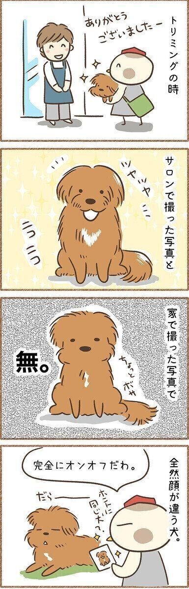 対照的すぎる 笑 パパさんに対する2頭の犬の 神対応 と 塩対応 が最高だった