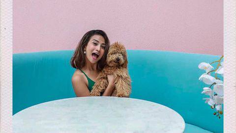 Isi Status WhatsApp Vanessa Angel Setelah Kecelakaan Terjadi/Foto: Instagram/vanessaangelofficial