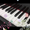 ピアノ好きな人集まれ🎹