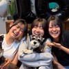 # ろむあ　えんじぇる　.   🎵💖
