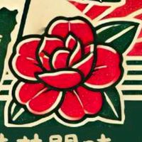 山茶花開時❣️VIP貴賓們社群