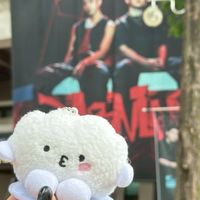 Woolly🦁代購