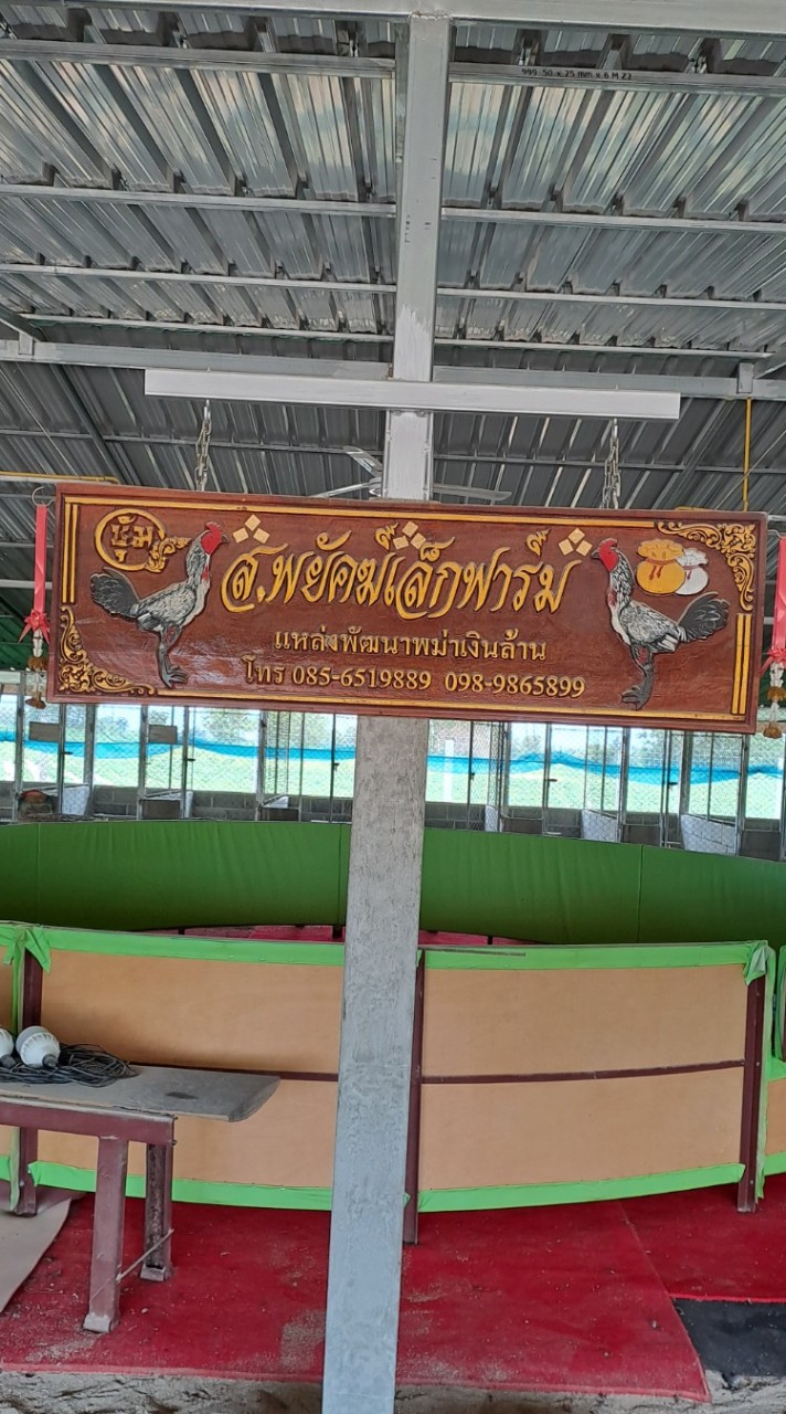 ส พยัคฆ์เล็ก ฟาร์ม