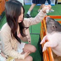 บ้านนามิ