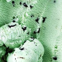 MINT CHOCOLATE❄️สมาคมคนรักมิ้นต์ช็อคโกแลต🍫