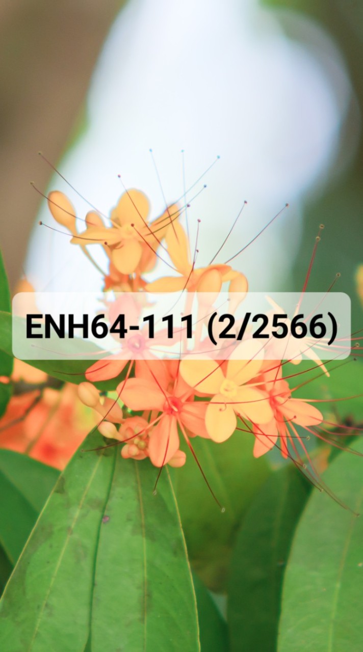 ENH64-111 2/2566