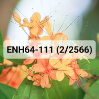 ENH64-111 2/2566