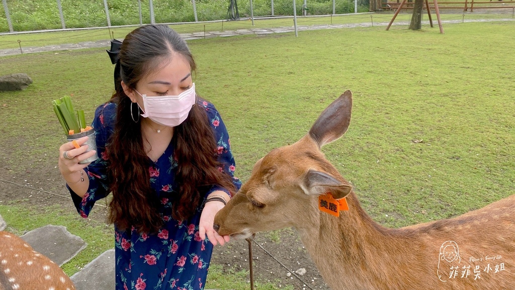 宜蘭景點 台版小奈良 斑比山丘梅花鹿 美美子みみこ咖啡廳