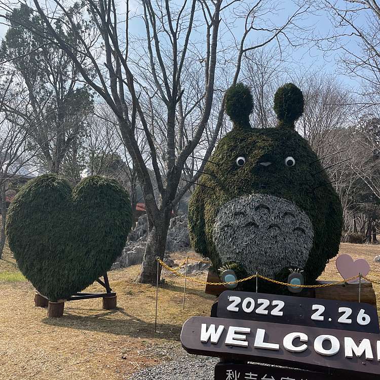 秋吉台家族旅行村 アキヨシダイカゾクリョコウムラ 秋芳町秋吉 キャンプ場 バンガロー コテージ By Line Place