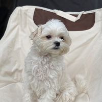 高雄動起來俱樂部