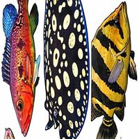 水族寵物快訊 Aquarium&Pet Messages
