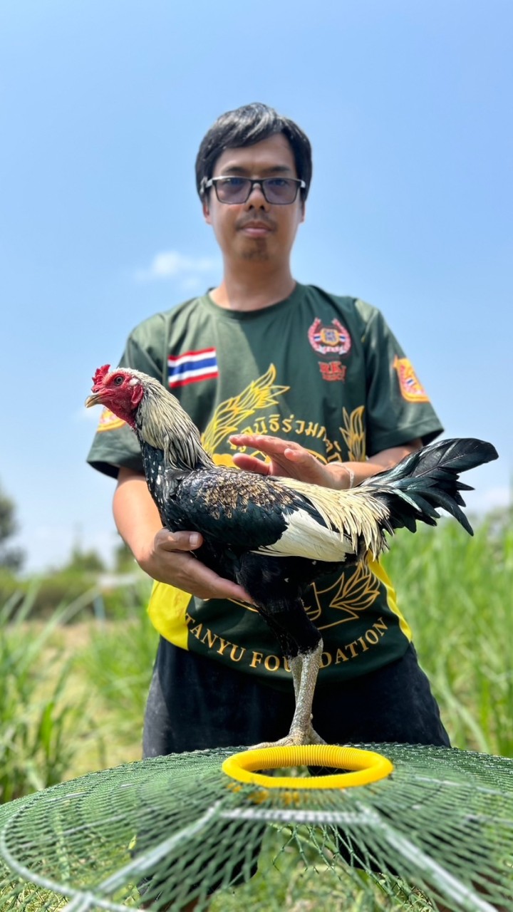 นิชาภาฟาร์ม