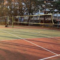 中臺放學後的娛樂「小」排球社🏐